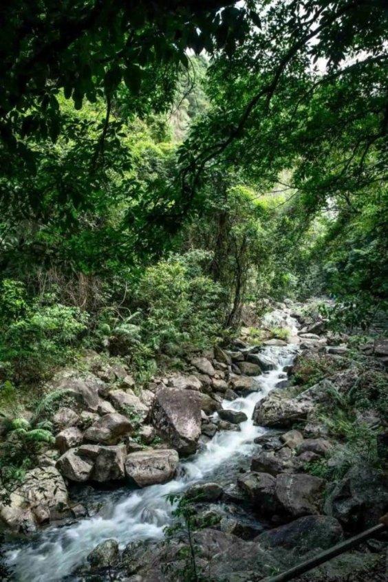 甄嬛传里逆风如解意用错了吗?-知识的海洋,200次涟漪,等你来掀起
